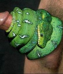Weird and Wacky 5e8914c42de39.jpg