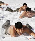 Cute Boys 146 52cb9a322facf.jpg