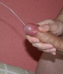 freeze frame 55a6ff67572ed.jpg