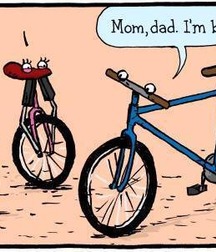 funnies 55cd335508722.jpg