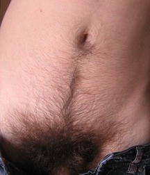bush 562e2b06a6e34.jpg