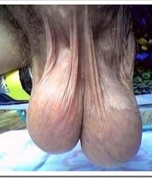 low hangers 565221f91c8cc.jpg