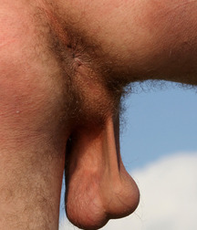 low hangers 565222a06f728.jpg