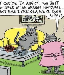 just for fun 56d4c1f508e2e.jpg
