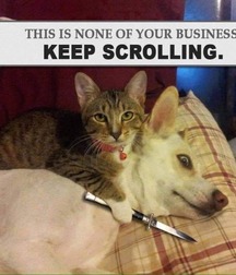 just for laughs 5704987257e71.jpg