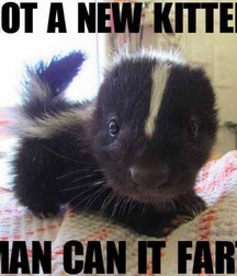 just for laughs 570498824a37a.jpg