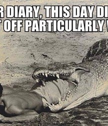 just for fun 573c92b498e08.jpg