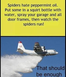 more fun 576744774f2cf.jpg