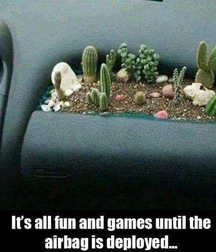 more fun 5767448b9d9f2.jpg