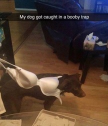 more fun 5767448c2f8f9.jpg