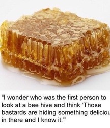 just for laffs 5796af8dcbfd3.jpg