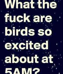 just for laffs 5796af8f030fe.jpg