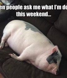 just for laffs 5796af90d82e2.jpg