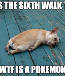 just for laffs 5796af921e87d.jpg