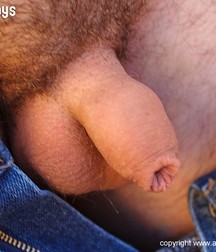 Marco 1 5ba37426df212.jpg