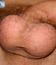 Vova 5bab7e94bd397.jpg