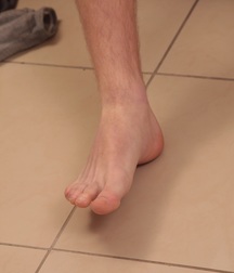 Peter 5be6d1dbd5215.jpg