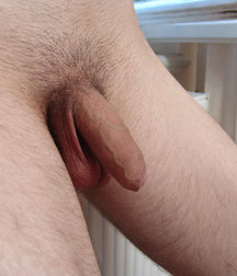 Borek 5bfa73d2dd3cc.jpg