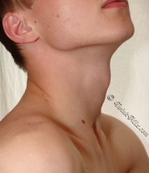 Man 5bfe632d547f3.jpg