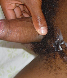 Randy 5bfe7843e7983.jpg