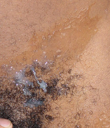 Randy 5bfe7859220d3.jpg