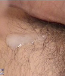Antosh 5c0cd19c23d92.jpg