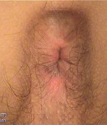 Arti 5 5c0cd68ab39fe.jpg