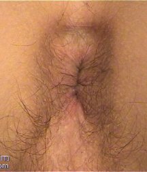 Arti 5 5c0cd68bf1f5c.jpg