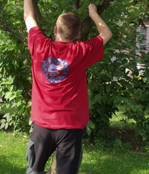 Tomas A 5c0cf262e197d.jpg