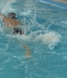 Going for gold 5c1a0f3160cbf.jpg