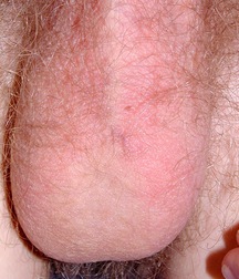 Terry 5c399dd98aa08.jpg