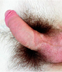 Ariel 1 5c3b28635909c.jpg