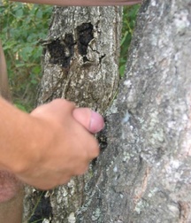 Alekas C 5c3da0475889a.jpg