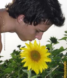 Costa 2 5c3db41e37a8d.jpg