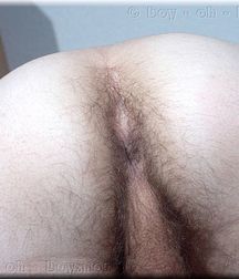 Brad 5c40479e20647.jpg
