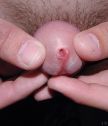 Vova 2 5c49b14aefa39.jpg