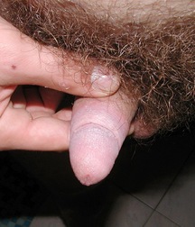 Zor 5c49b3803b7a9.jpg