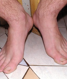 Zor 5c49b4eb97739.jpg
