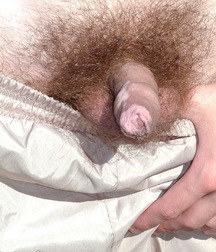 Tonny  5c4af07d493a7.jpg