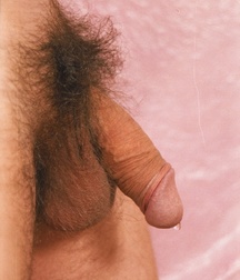 Marek 5c4d6ce16f186.jpg