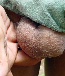 Gilverto 5c5168e57a8eb.jpg