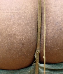 Gilverto 5c51692776bb5.jpg