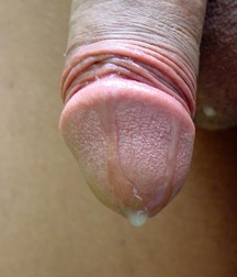 Gilverto 5c51699ca2528.jpg