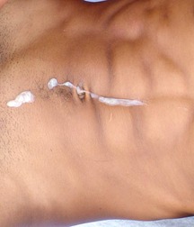 Herony 5c516b576cbce.jpg