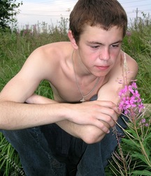 Sonic 1 5c55806bda8a4.jpg