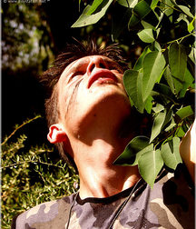 Sammy 5c55927df2e65.jpg