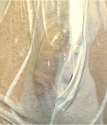 Sebastian  5c5598074be6b.jpg