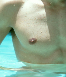 Kyle  5c5974d3c5445.jpg