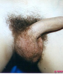 Odds n' ends 3 5c5a9e6b5cb2e.jpg