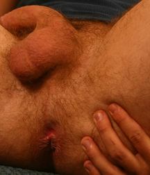Cody R 5c5ab69fae093.jpg